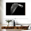 Harnek lys Calla monochrome-108908724