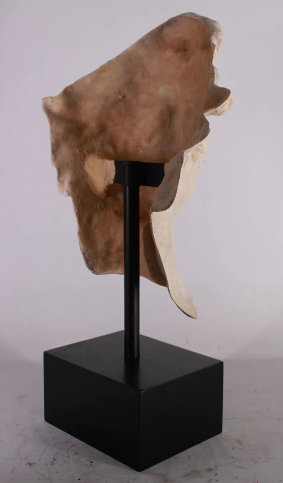 Aadyanth Stone David Head Life Size
