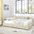 Beige est en rupture de stock