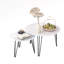 Ensemble de 2 tables basses gigognes-79441818