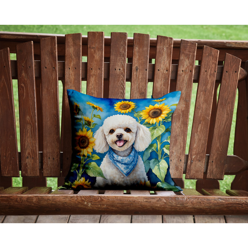 Coussin décoratif autre / sans motif, H 14 po x l 14 po