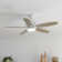 Nyxton 52'' Ceiling Fan with LED Lights