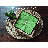 Stalder Water Hyacinth Napkin Holder