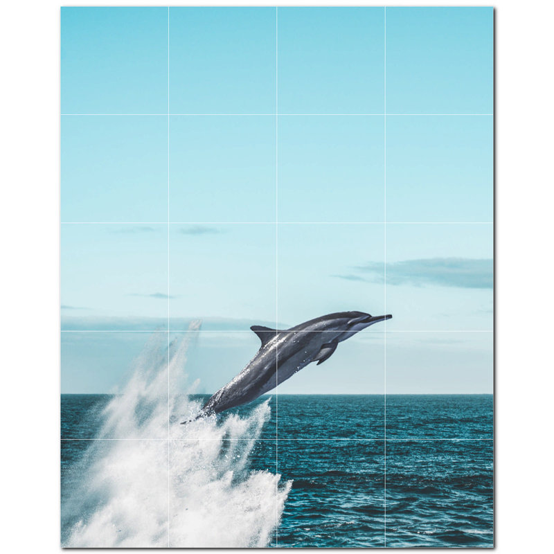 Dauphin photo 8 x 8