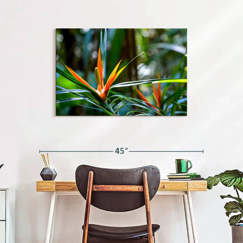 Harnek, oiseaux tropicaux du paradis, H 24 po x l 36 po