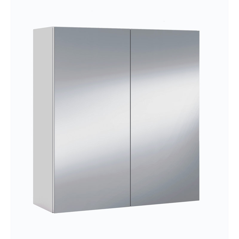Gunnison 600mm W 650mm H Surface Frameless Medicine Cabinet Mirror 4 Fixed