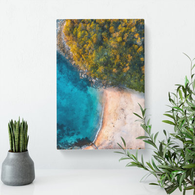 Forest Beach - Wrapped Canvas