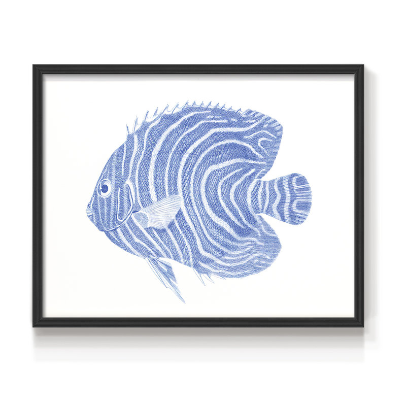 «Blue & White Tropical Fish II», reproduction encadrée, H 11 po x l 14 po, Noir, noir, noir, noir
