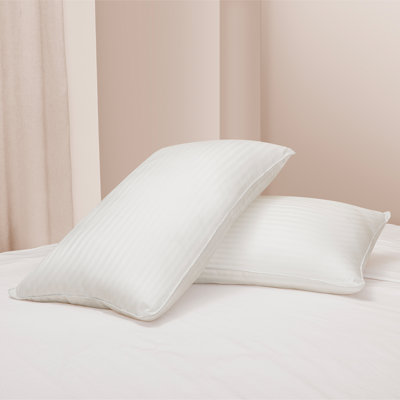 Oreiller de lit Wayfair Sleep Down