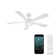Wynd 5 - Blade Outdoor /Indoor Smart Ceiling Fan with Remote Control and LED Light Kit Included, Works With Alexa and iOS or Android App