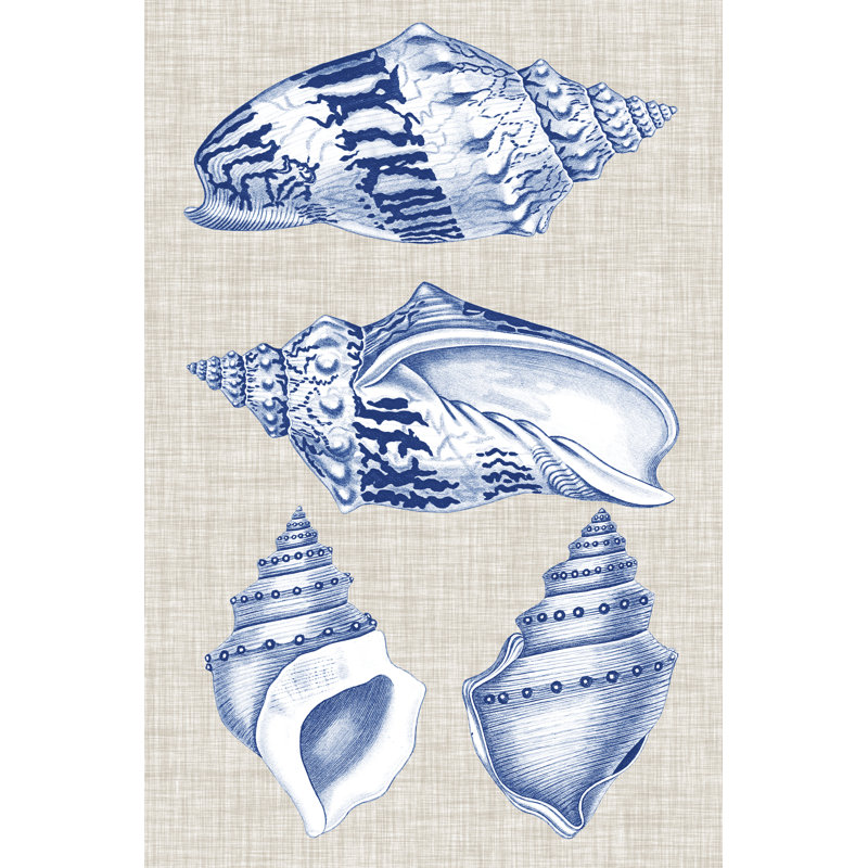 Navy & Linen Shells II by Vision Studio - Painting Print, 30cm H x 20cm W, Wrapped Canvas