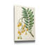 «Turpin Exotic Botanical IX», reproduction d'art sur toile tendue-1907685579