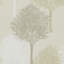 Entice Wallpaper-50900550