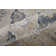 Maximiano Floral Indoor Rug