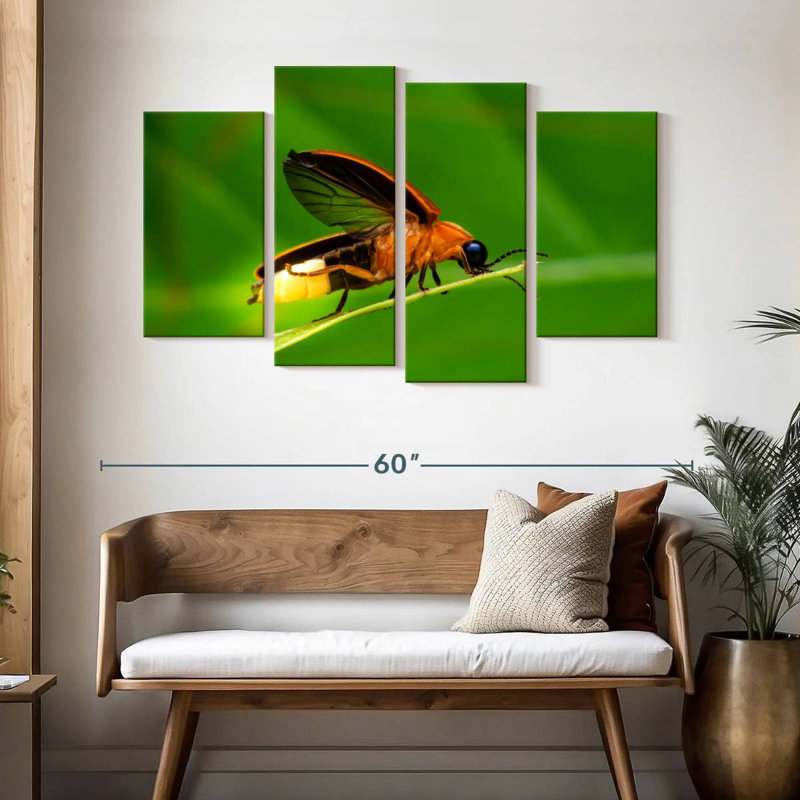 Firefly
