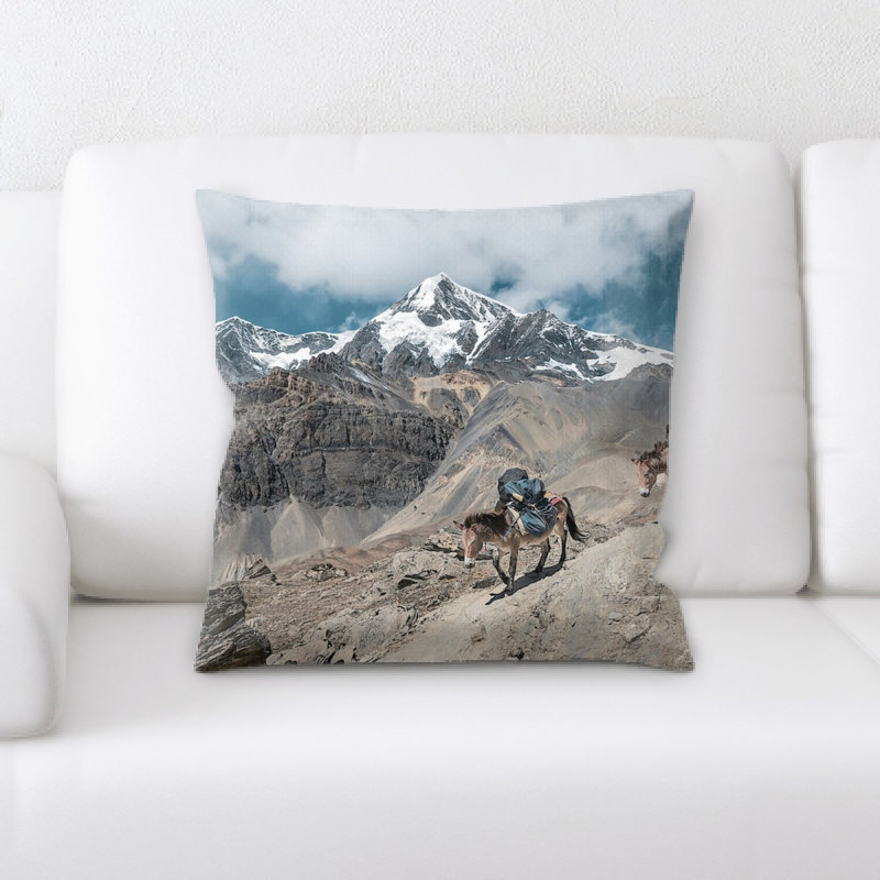 Coussin mountain