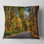 Route à travers la forêt d'automne illuminée - oreiller imprimé paysage-177898637-177898641