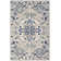 Oriental Indoor Rug