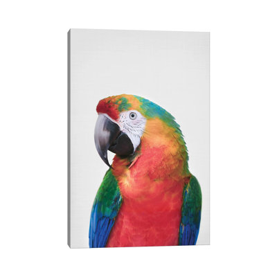 " Parrot " by Sisi And Seb
