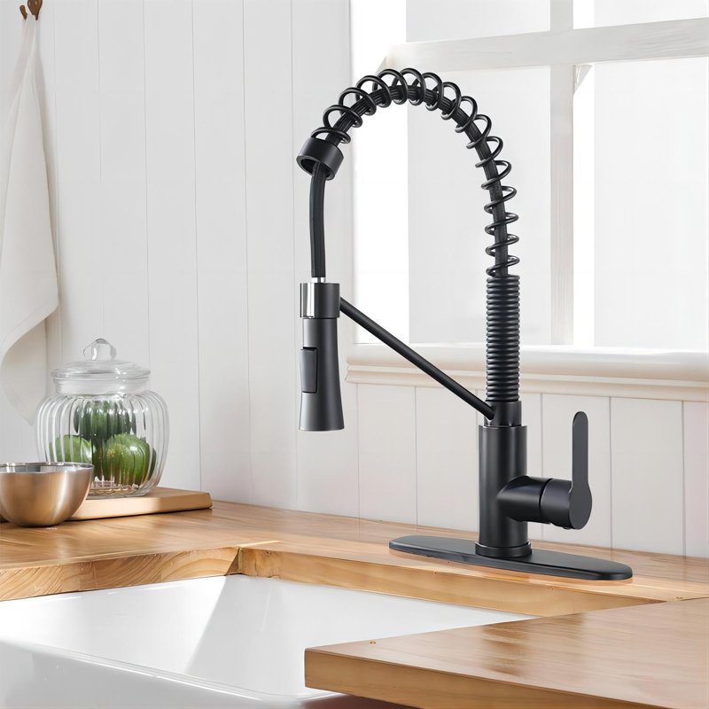 Landolt Pull Down Kitchen Faucet