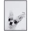 Chico Chihuahua - Cadre photo, impression sur verre