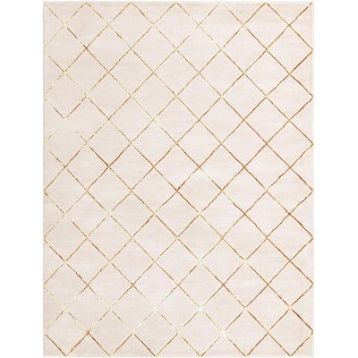 Contemporary Etowah Area Rug White and Gold Color