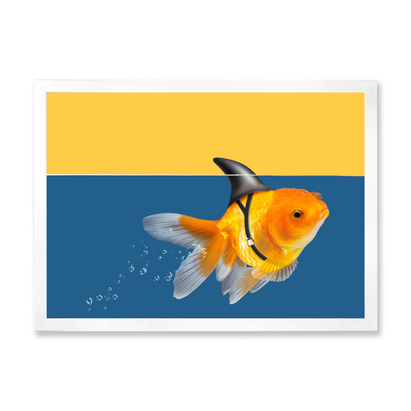 " Goldfish Shark Swimming ", White Picture Frame, 16" H x 32" W x 1" D