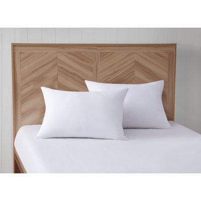 Oreiller de soutien moyen en duvet antimicrobien Trely Calm
