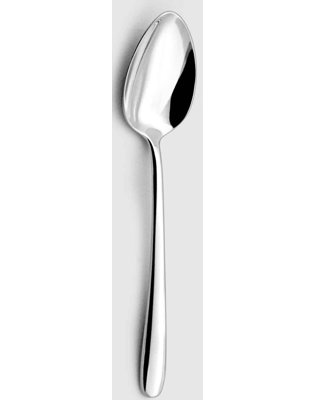 Fusain Stainless Steel Dinner Spoon
