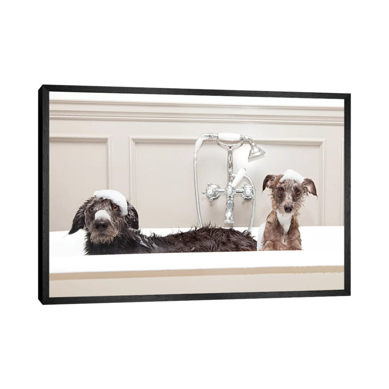 Two Funny Wet Dogs In Bathtub by Susan Schmitz - Print on Canvas, 66.04 cm H x 45.72 cm W, Black Framed