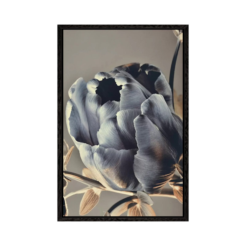 Baroque III - Painting on Canvas, Black Framed, 66.04cm H x 45.72cm W x 3.81cm D
