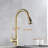 AlenArtWater Pull Down Kitchen Faucet-100651966