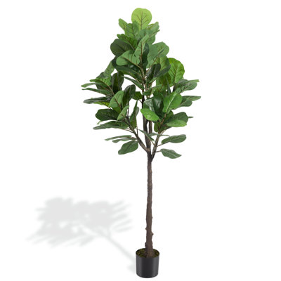 Arbre 71 po