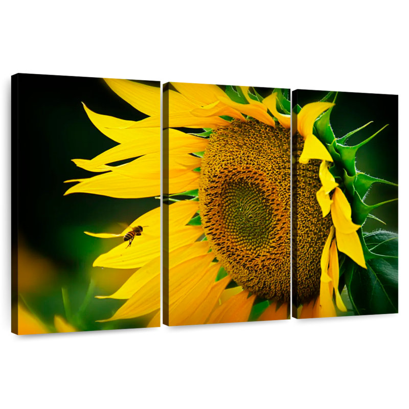 Abeille Harnek attirée par le tournesol, H 42 po x l 65 po