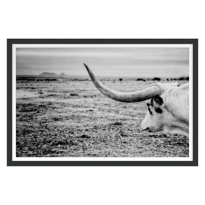The Horn Framed Photographic Print, Black Single Picture Framed, 30'' H x 45'' W