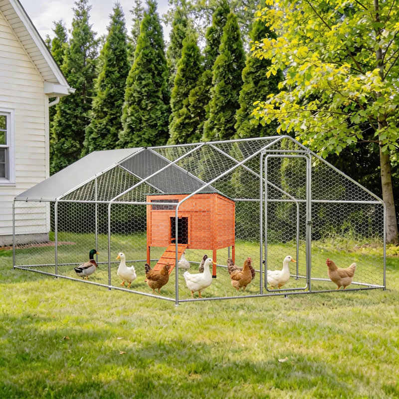 Cage à canard isolée pour l'extérieur