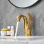 Single-Hole Single-handle Bathroom Faucet with Drain Assembly-95166359