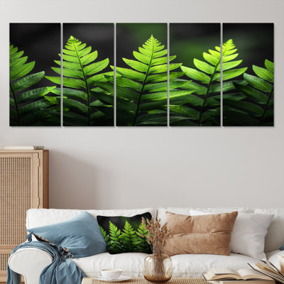 Ensemble de reproductions d'art murales vertes et noires, "Nirvana Ferns I" - fougères