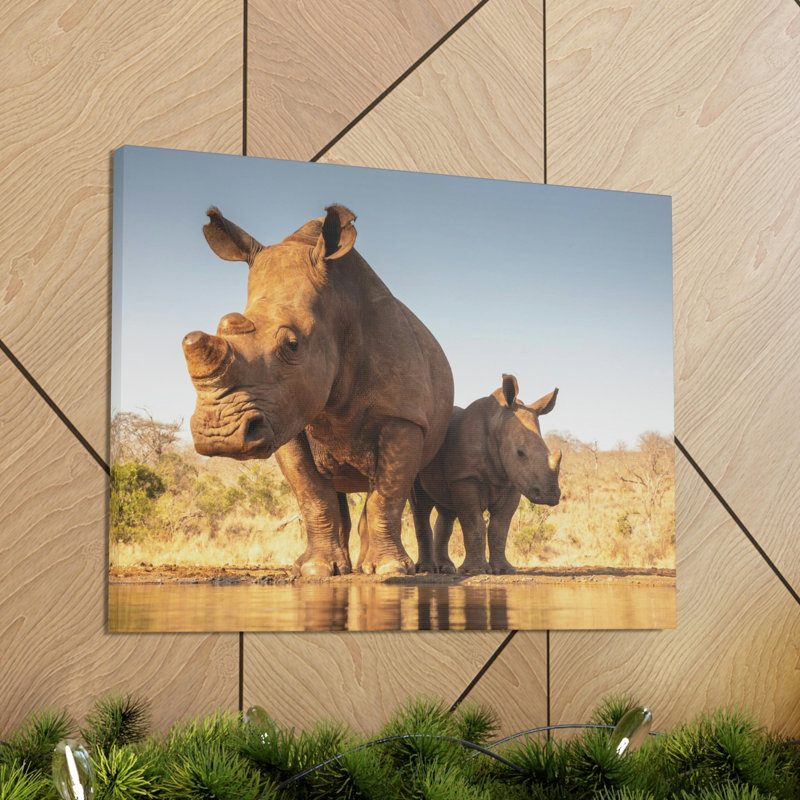 Drôle de rhinocéros blanc, H 12 po x l 18 po