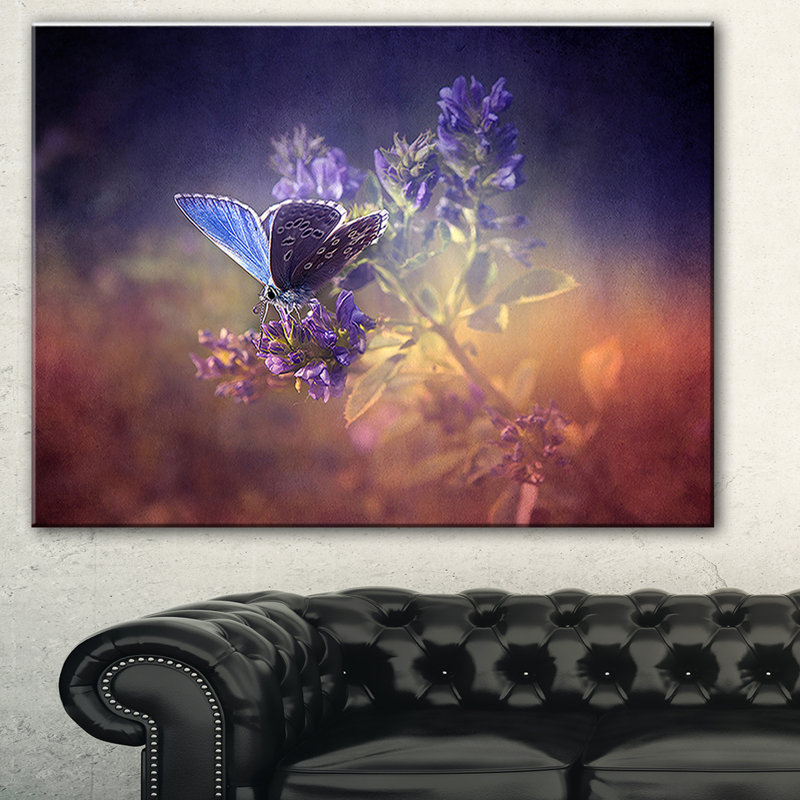 «Vintage Butterfly», impression, H 8 po x l 12 po x P 1 po, Toile tendue