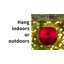Ornement en forme de boule Jingle Bells Adapt