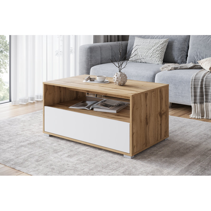 Nimfea Coffee Table with Storage, Brown