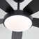 Damecia 42'' 5 Blade Modern Ceiling Fan With Light and Remote Control