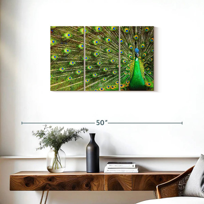 Brampt exhibant des plumes de paon, H 20 po x l 33 po