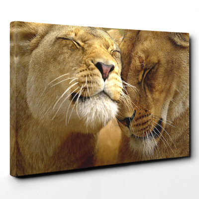 Wrapped Canvas Print
