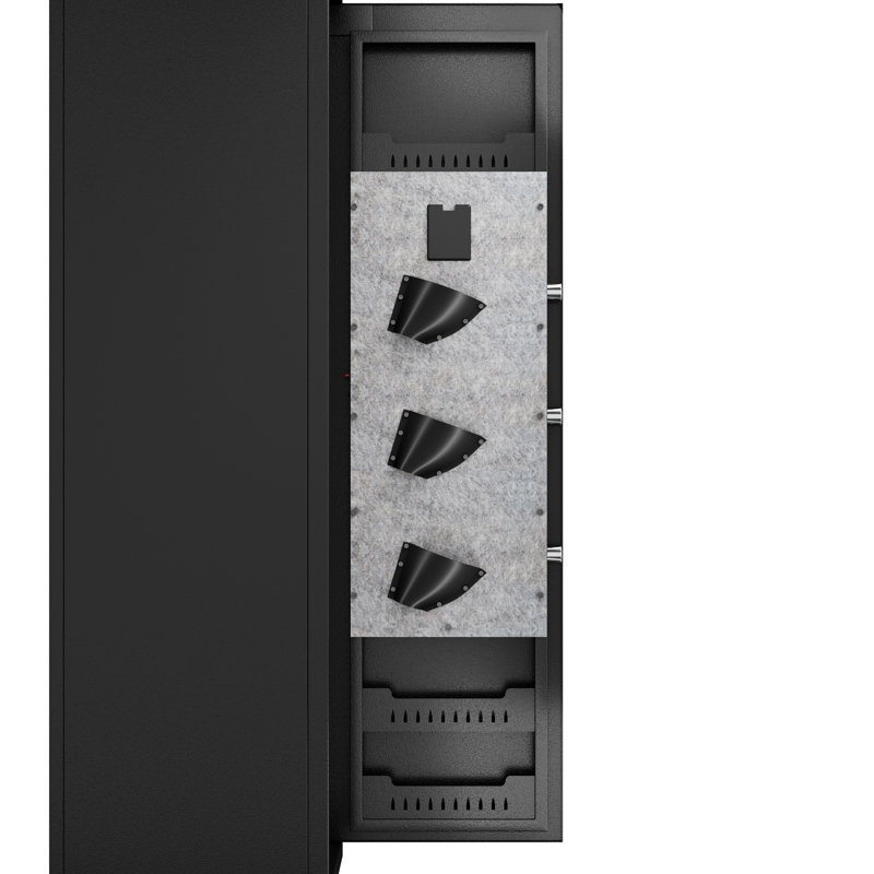 Sécuritaire pour la maison - et, déverrouillage électronique d'empreintes digitales, cloison amovible, sans assemblage, pistolets à carabine noirs à accès rapide, noir, grande capacité
