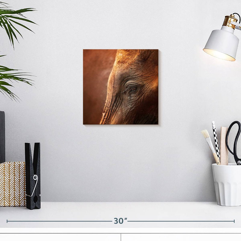 Brampt Elephant Lashes, 10" H x 10" W