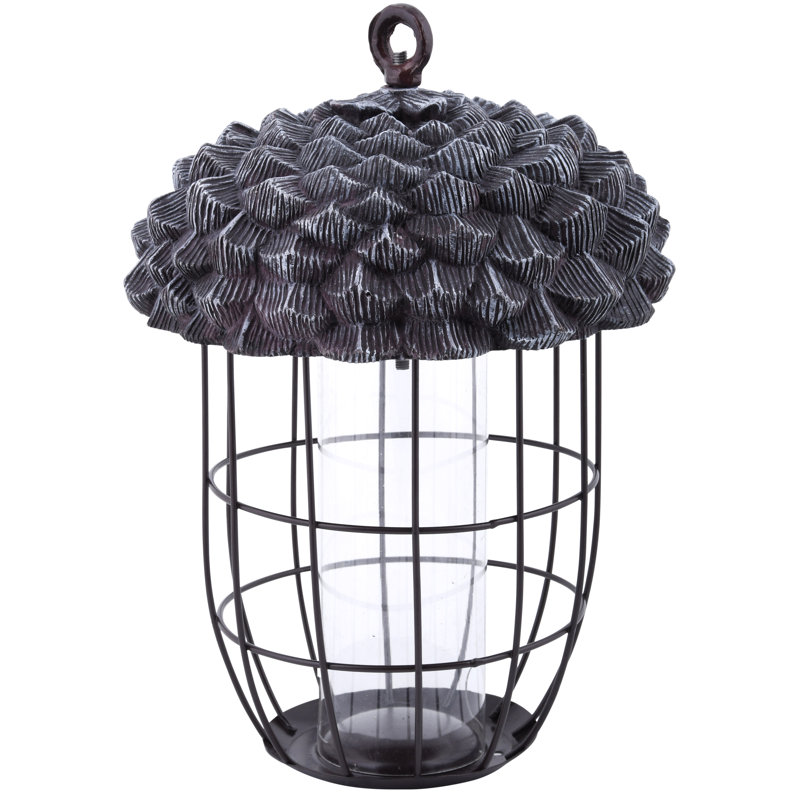 Acorn Seed Feeder