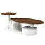 Table basse de luxe, salon, tables ovales et rondes, rangement, finition blanche, assemblage facile, coffre-fort pour famille, conception élégante, structure en métal, arrangement flexible