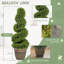 90cm Plant-135374446